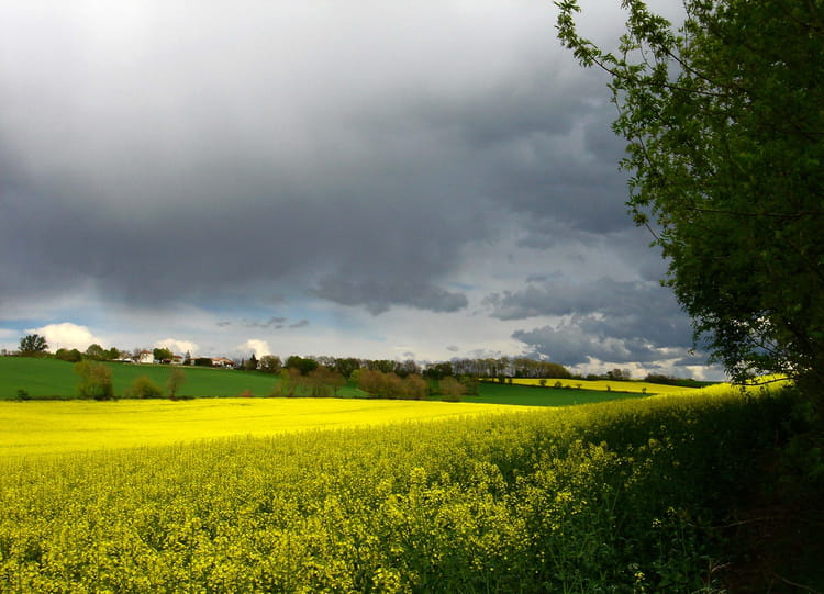 Bon Mardi Ciel-d-orage-1269728982-1305552