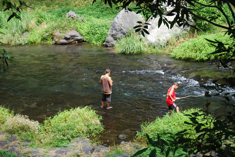 Comme nettoyer lherbe sur la pêche