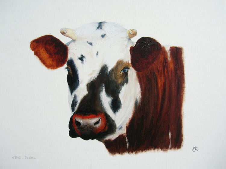 la vache isabelle par chantal marie bretagne rousselet