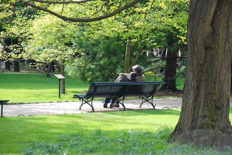 Le Banc Des Amoureux le banc des amoureux par meyer sur l internaute Le Banc Des Amoureux le banc des amoureux par meyer sur l internaute