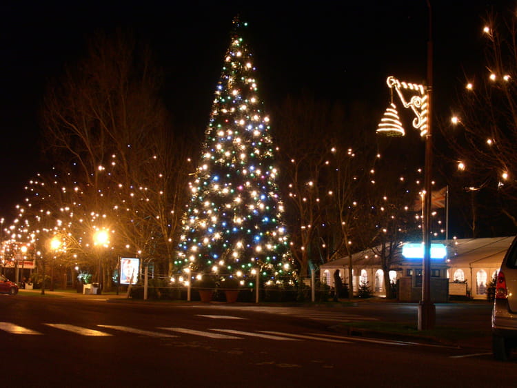Decoration De Noel Au Touquet Decoration De Noel Au Touquet