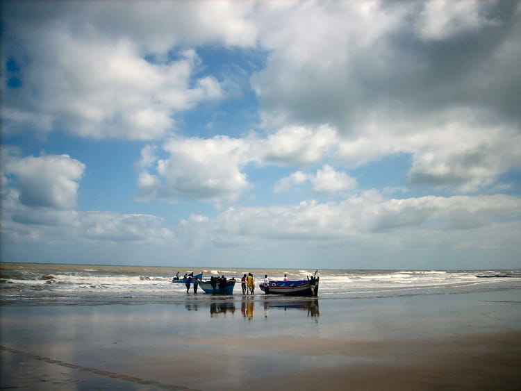 Jouer dans en ligne pêche sur la carpe