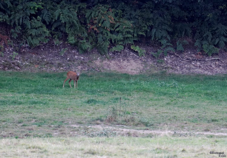 foot les rencontres du jour