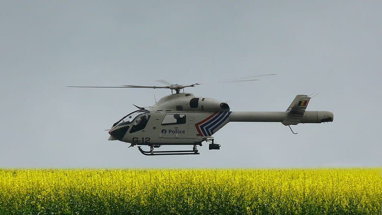 vol-au-dessus-d-un-champs-de-colza-12127